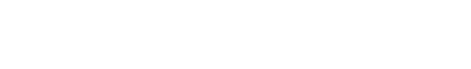 Union Pizza & Smash