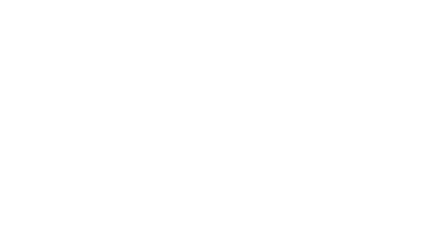 Union Pizza & Smash